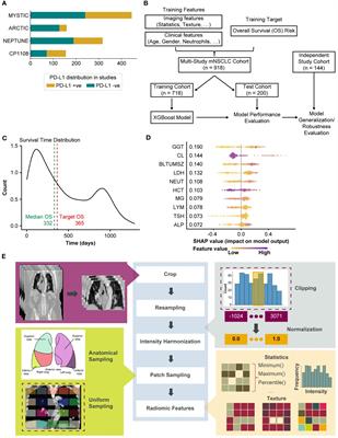 Towards a survival risk prediction model for metastatic NSCLC patients on durvalumab using whole-lung CT radiomics